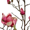 Floristik24 Magnolia oksa violetti 110cm 1kpl