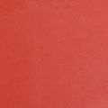 Floristik24 Mansettipaperi kukkapaperi pehmopaperi punainen 25cm 100m