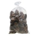 Maritima käpyjä 14/18 natural 25 kpl | Floristik24.fi