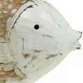 Floristik24 Merikoristelu kalapuuta puinen kala nuhjuinen chic 17×8cm