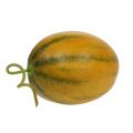 Floristik24 Meloni keinotekoinen keltainen Ø10cm 13cm