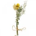 Floristik24 Minikimppu kuivattuja kukkia boho, kuivattuja kukkia kukkakauppa L22cm