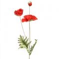 Floristik24 Unikon koristeellinen puutarhakukka, jossa 3 kukkaa punainen L70cm