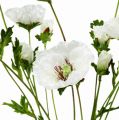 Floristik24 Unikonkukka ruusu valkoinen 3kpl