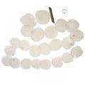 Shell Garland Mother of Pearl Shell Garland Capiz 195cm | Floristik24.fi