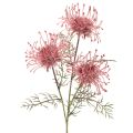 Floristik24 Tekokukka neulatyyny protea kukkiva oksa 65cm 3kpl