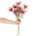 Tekokukka neulatyyny protea kukkiva oksa 65cm 3kpl | Floristik24.fi