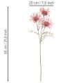 Tekokukka neulatyyny protea kukkiva oksa 65cm 3kpl | Floristik24.fi