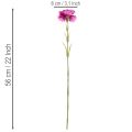 Keinotekoinen neilikka, kaksivärinen, pitkä varsi 56 cm, 8 kpl:n kimppu | Floristik24.fi