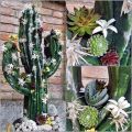Floristik24 Kukkavaahtomuovihahmo kaktus musta 38cm x 74cm