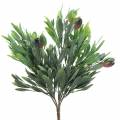 Floristik24 Keinotekoinen oliivinoksa vihreä 27cm 7 säiettä