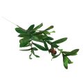 Floristik24 Oliivinoksa keinotekoinen oliivi koristeoksa 45cm