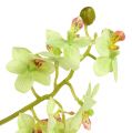Floristik24 Orkidea 97cm vaaleanvihreä
