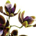 Floristik24 Orkidea Cymbidium Green, violetti L38cm 4kpl