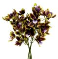 Floristik24 Orkidea Cymbidium Green, violetti L38cm 4kpl