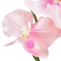 Floristik24 Orchid Phalaenopsis keinotekoinen 6 kukkaa vaaleanpunainen 70cm
