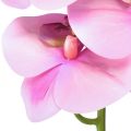 Floristik24 Orchid Phalaenopsis keinotekoinen 8 kukkaa vaaleanpunainen 104cm