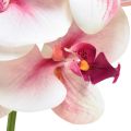 Floristik24 Orchid Phalaenopsis keinotekoinen 9 kukkaa valkoinen fuksia 96cm
