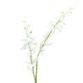 Floristik24 Orkideat keinotekoiset Oncidium tekokukat valkoiset 90cm