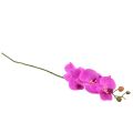 Floristik24 Keinotekoinen orkidea Phalaenopsis Orchid Pink 78cm