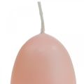 Floristik24 Pääsiäiskynttilät munan muotoiset, munakynttilät pääsiäispersikka Ø4,5cm K6cm 6kpl