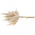 Floristik24 Keinotekoinen pampas ruoho kerma kuiva kukka 35cm 4kpl 4kpl