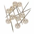 Floristik24 Pearl head pins samppanjaa Ø15mm 75mm