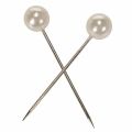 Pearl head pins samppanjaa Ø15mm 75mm | Floristik24.fi