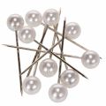 Floristik24 Pearl Head Pins Valkoinen Ø15mm 75mm