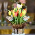 Floristik24 Kasvitulpat värikkäät kanan koristetulpat puukana Pääsiäiskoriste 14 kpl