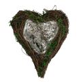 Floristik24 Planter Heart Vine Moss 21cm x 26cm K6cm