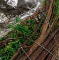 Planter Heart Vine Moss 21cm x 26cm K6cm | Floristik24.fi