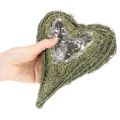Luonnonmateriaalista valmistettu kasvisydän foliotäytteellä, 22 cm, 2 kpl | Floristik24.fi