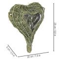 Luonnonkasvisydän floristiikkaan foliolla, 25 cm | Floristik24.fi