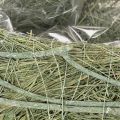 Sydämenmuotoinen kulho luonnonruohosta istutusfoliolla, 38 cm | Floristik24.fi
