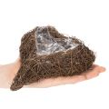 Sydämenmuotoinen oksaruukku foliolla, 20 cm, 2 kpl | Floristik24.fi