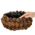 Pyöreä käpyistutuskulho, 30 cm | Floristik24.fi