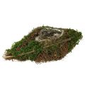 Floristik24 Köynnösten ja sammaleen istutuskulho 31 × 17 × 6 cm