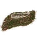 Floristik24 Plant Wave Vines -pieni kukkamalja sammalella 31 × 15 × 7 cm