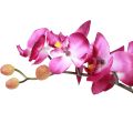 Floristik24 Keinotekoiset orkideat ruukussa Phalaenopsis tekokukat orkideat pinkki 34cm