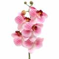 Floristik24 Keinotekoinen orkideahaara Phaelaenopsis Pink H49cm