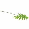 Floristik24 Philodendron Leaf Vihreä 40cm