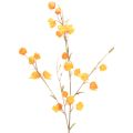 Floristik24 Keinotekoinen kiinalainen lyhtykasvi, Physalis-oksa kukkineen, 95 cm