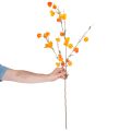 Keinotekoinen kiinalainen lyhtykasvi, Physalis-oksa kukkineen, 95 cm | Floristik24.fi
