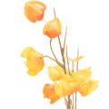 Keinotekoinen kiinalainen lyhtykasvi, Physalis-oksa kukkineen, 95 cm | Floristik24.fi