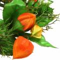Keinotekoinen Physalis-seppele, oranssi ja vihreä, Ø28cm, syyskoriste | Floristik24.fi