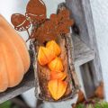 Floristik24 Physalis Orange Assorted 22 kpl koristeellisia tekokukkaverhoja