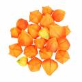 Floristik24 Physalis Orange Assorted 22 kpl koristeellisia tekokukkaverhoja