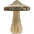 Puinen sienenkuori ja glitter deco sienet puu H8,5cm 4kpl