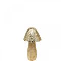 Floristik24 Koristeellinen sieni metalli puu kultainen, luontopöytäkoristeet syksyllä 18,5cm